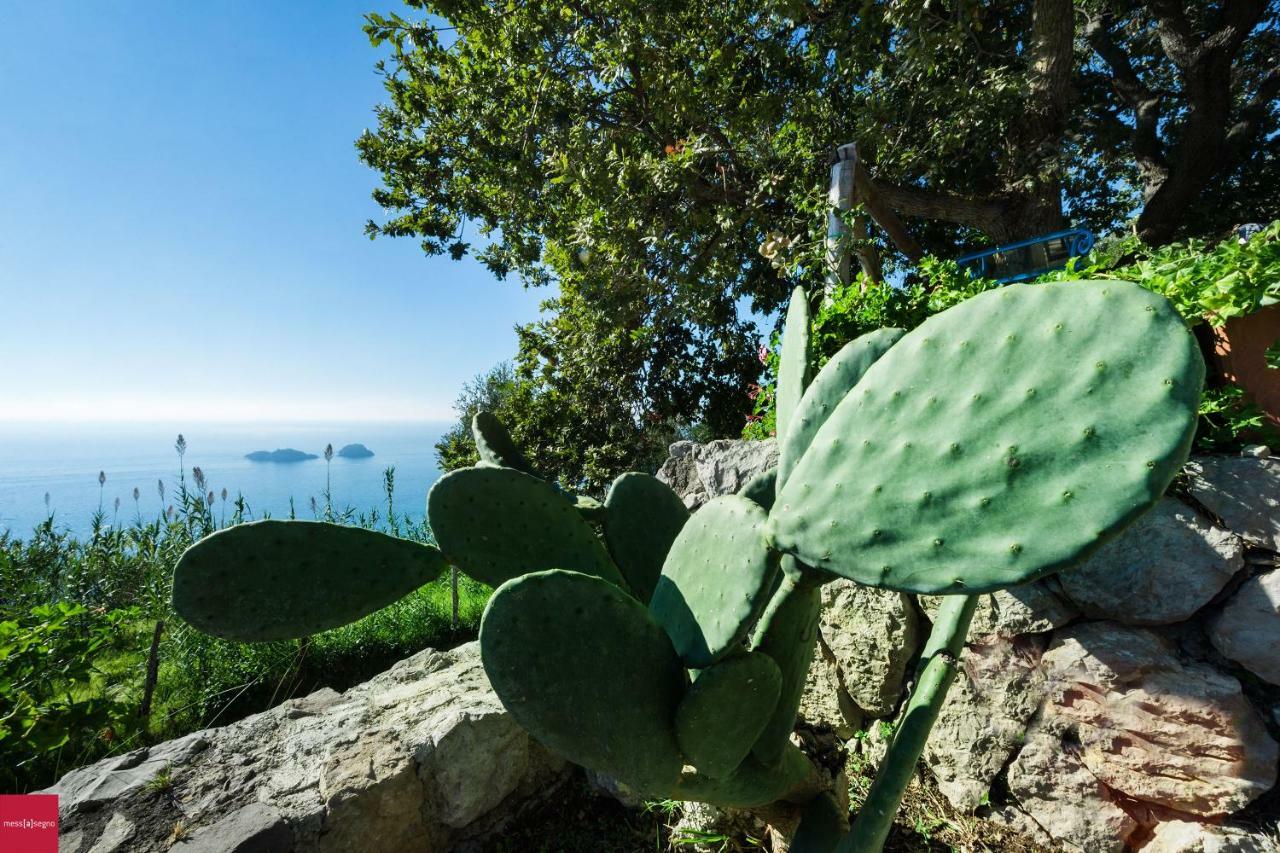 Il Nibbio Apartamento Piano di Sorrento Exterior foto