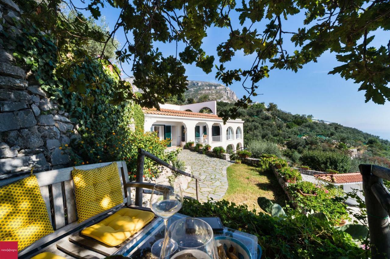 Il Nibbio Apartamento Piano di Sorrento Exterior foto