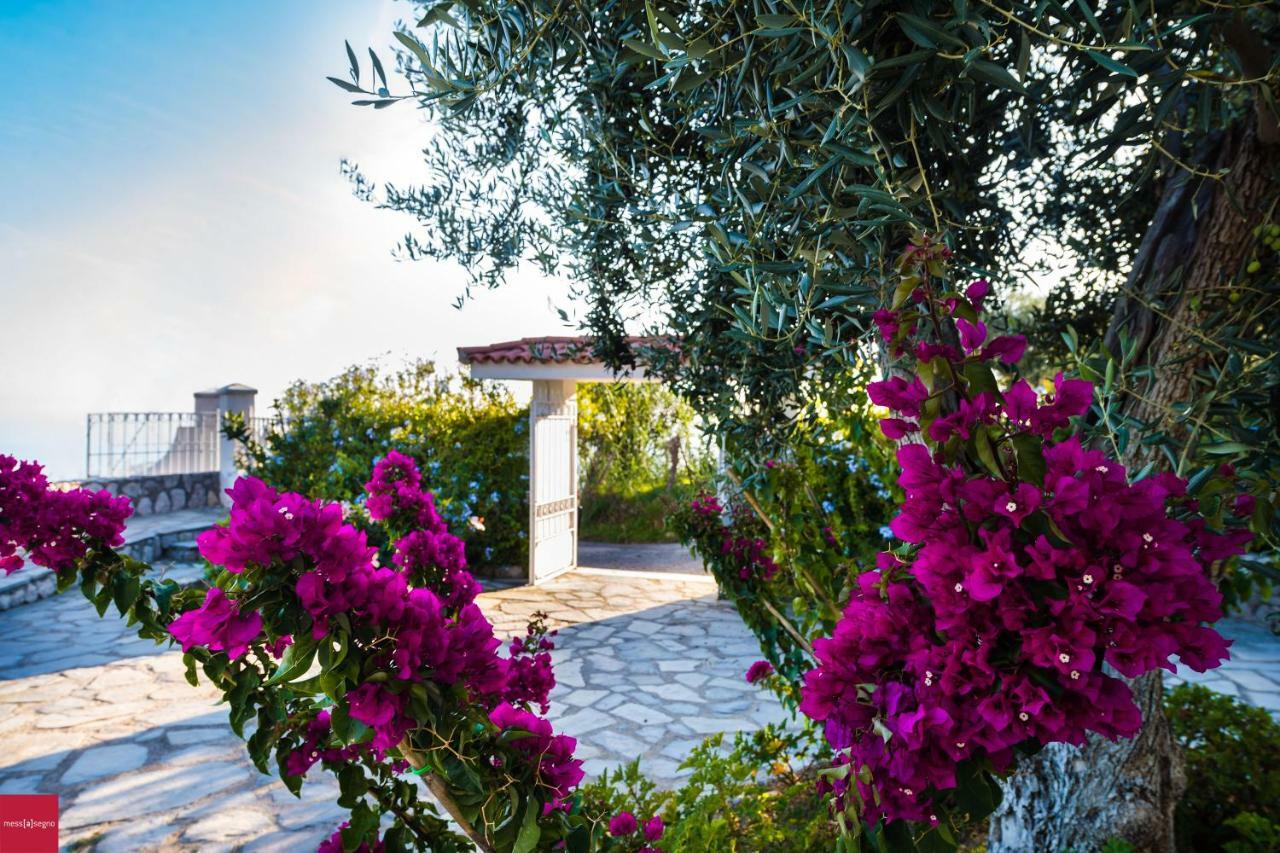 Il Nibbio Apartamento Piano di Sorrento Exterior foto