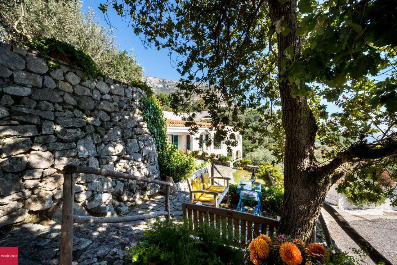 Il Nibbio Apartamento Piano di Sorrento Exterior foto