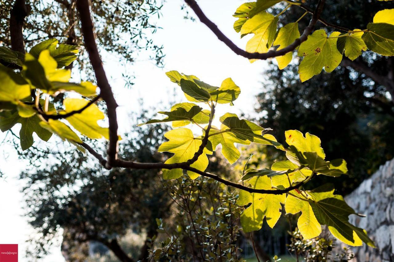 Il Nibbio Apartamento Piano di Sorrento Exterior foto