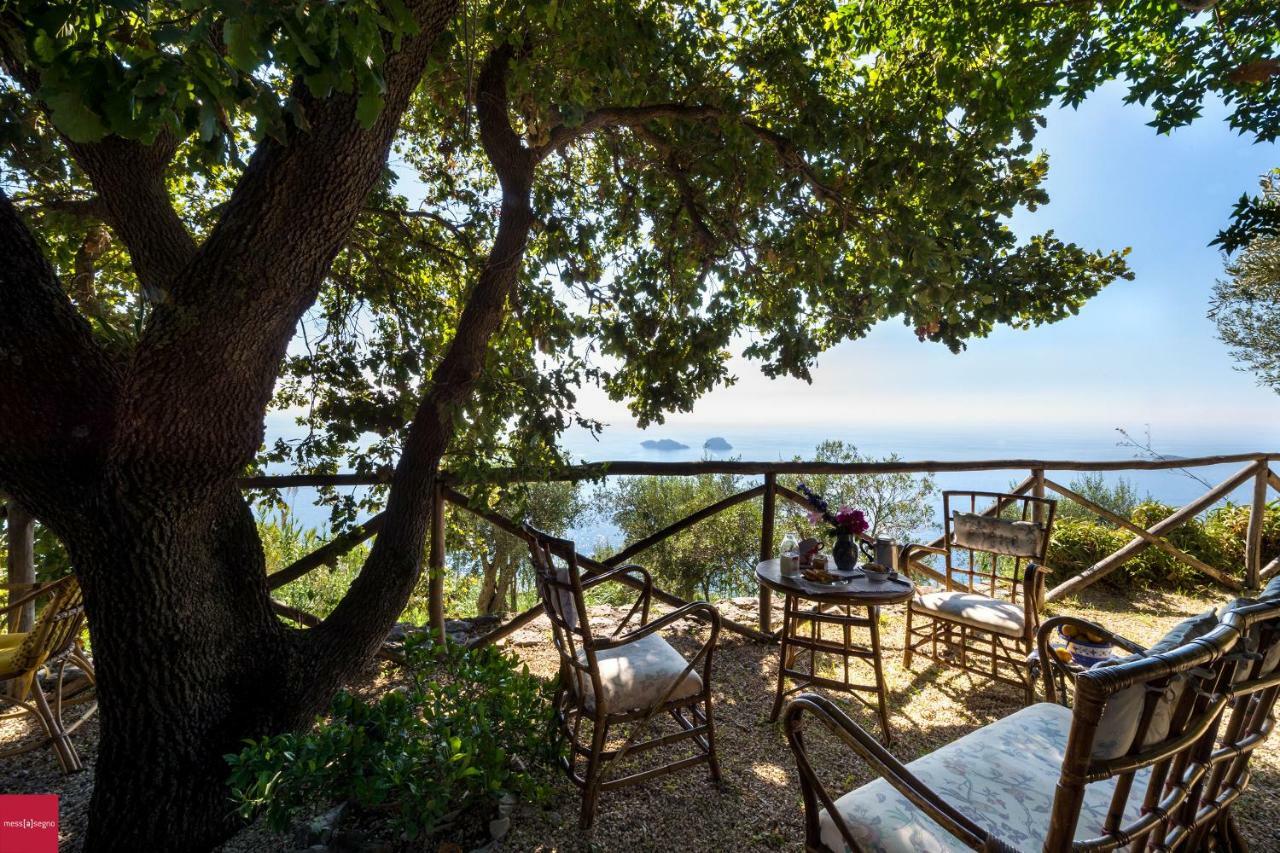 Il Nibbio Apartamento Piano di Sorrento Exterior foto