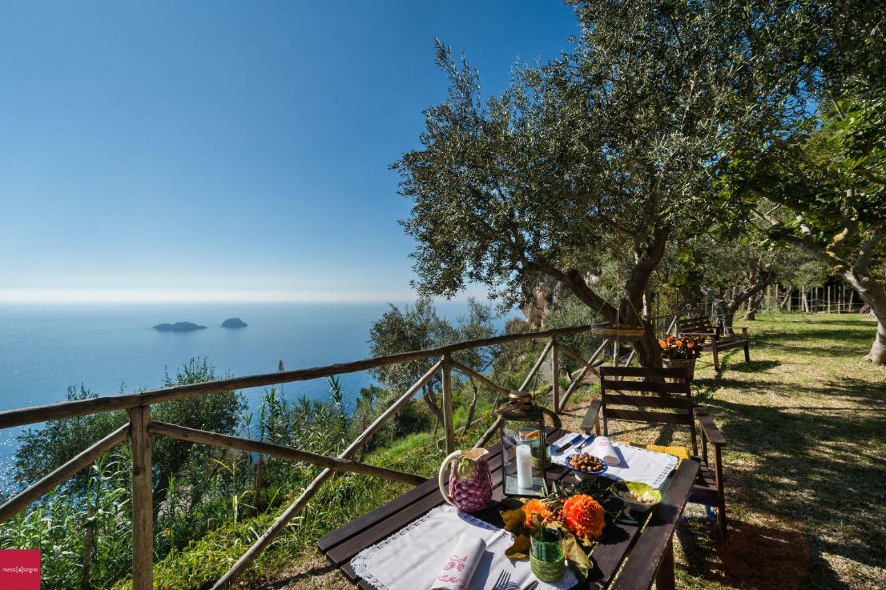 Il Nibbio Apartamento Piano di Sorrento Exterior foto