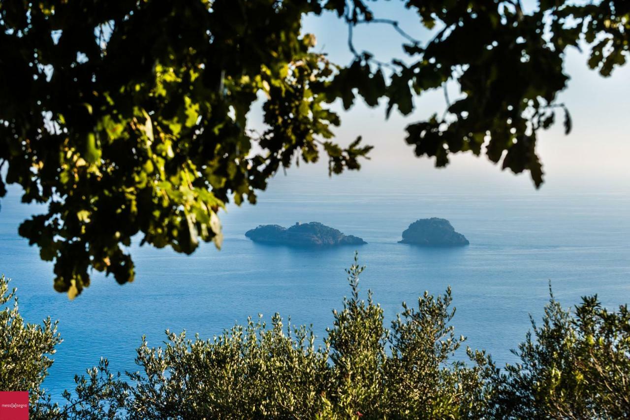 Il Nibbio Apartamento Piano di Sorrento Exterior foto