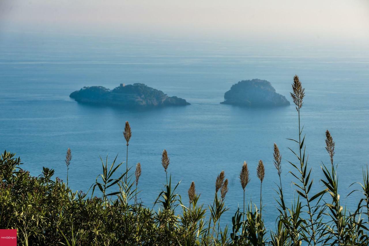 Il Nibbio Apartamento Piano di Sorrento Exterior foto