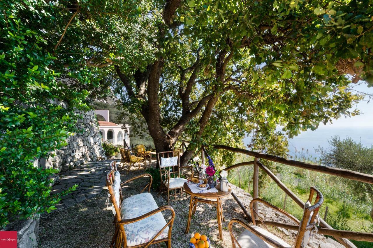 Il Nibbio Apartamento Piano di Sorrento Exterior foto